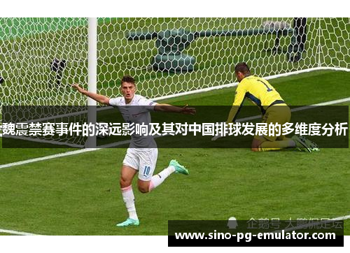 魏震禁赛事件的深远影响及其对中国排球发展的多维度分析