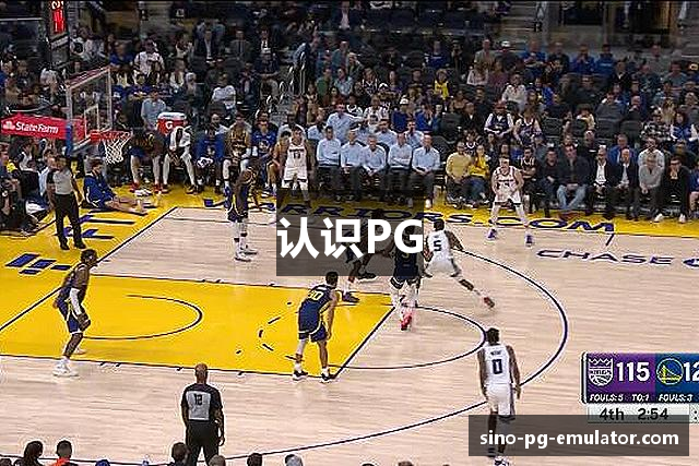 认识PG